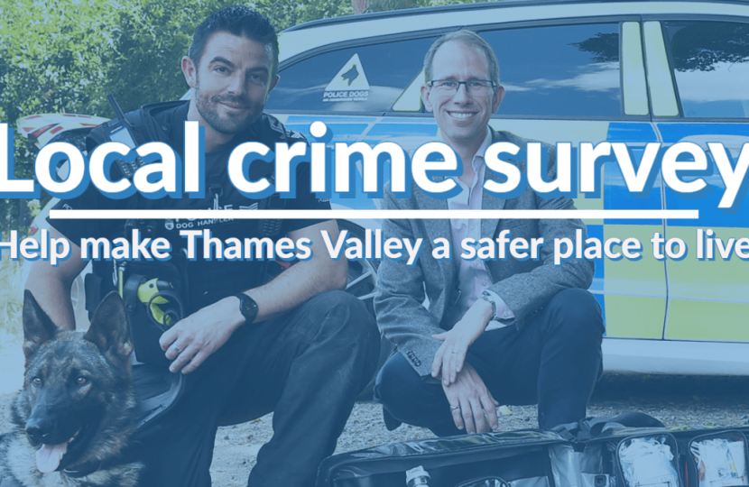 local crime survey